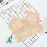 Lace Padded Bralette for women's in USA