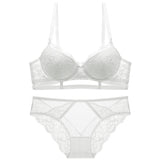 Shop Sexy Embroidered Bra and Panties Set Online in USA